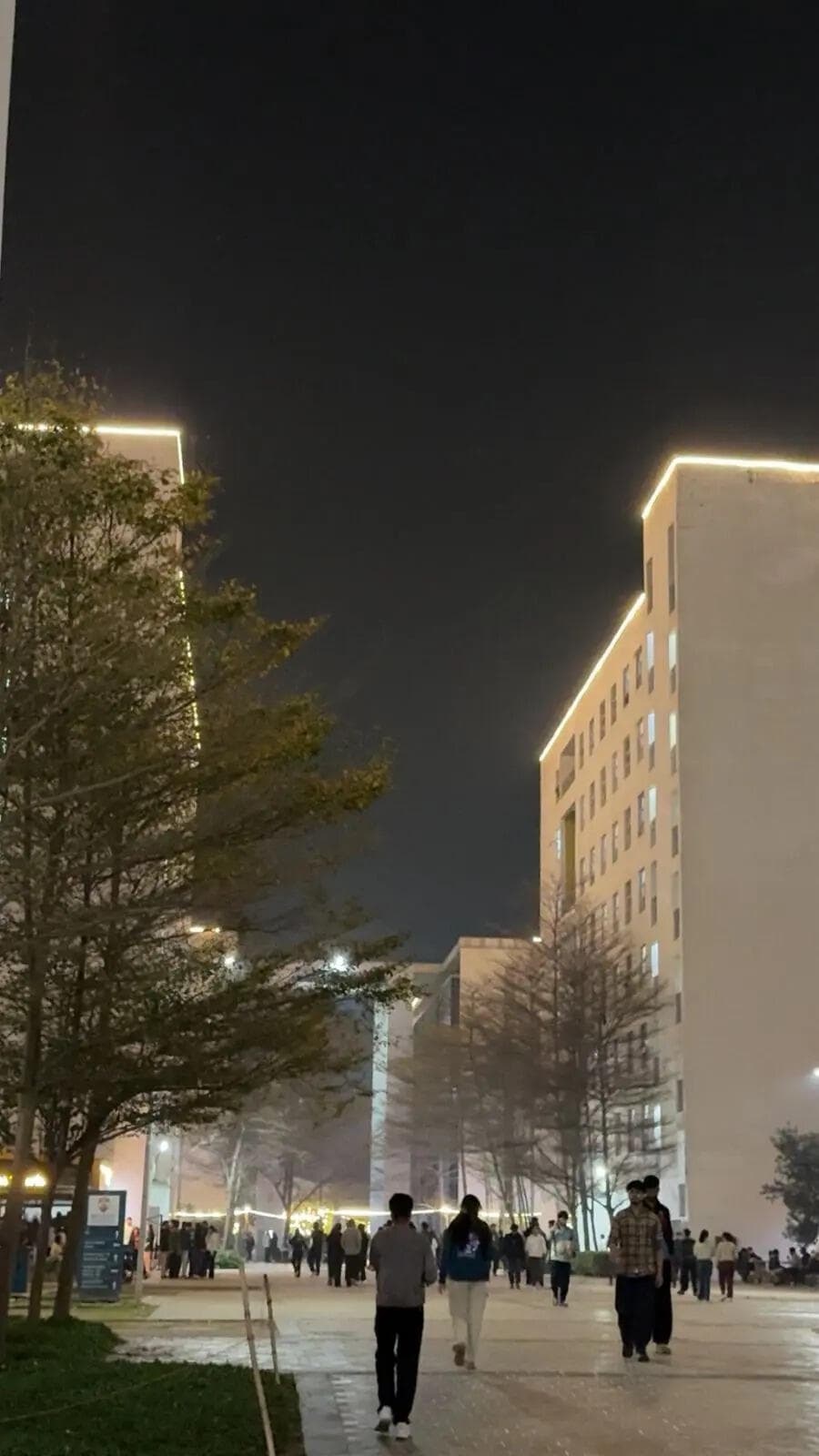 From Daylight to Dusk: The Changing Face of Campus Evenings