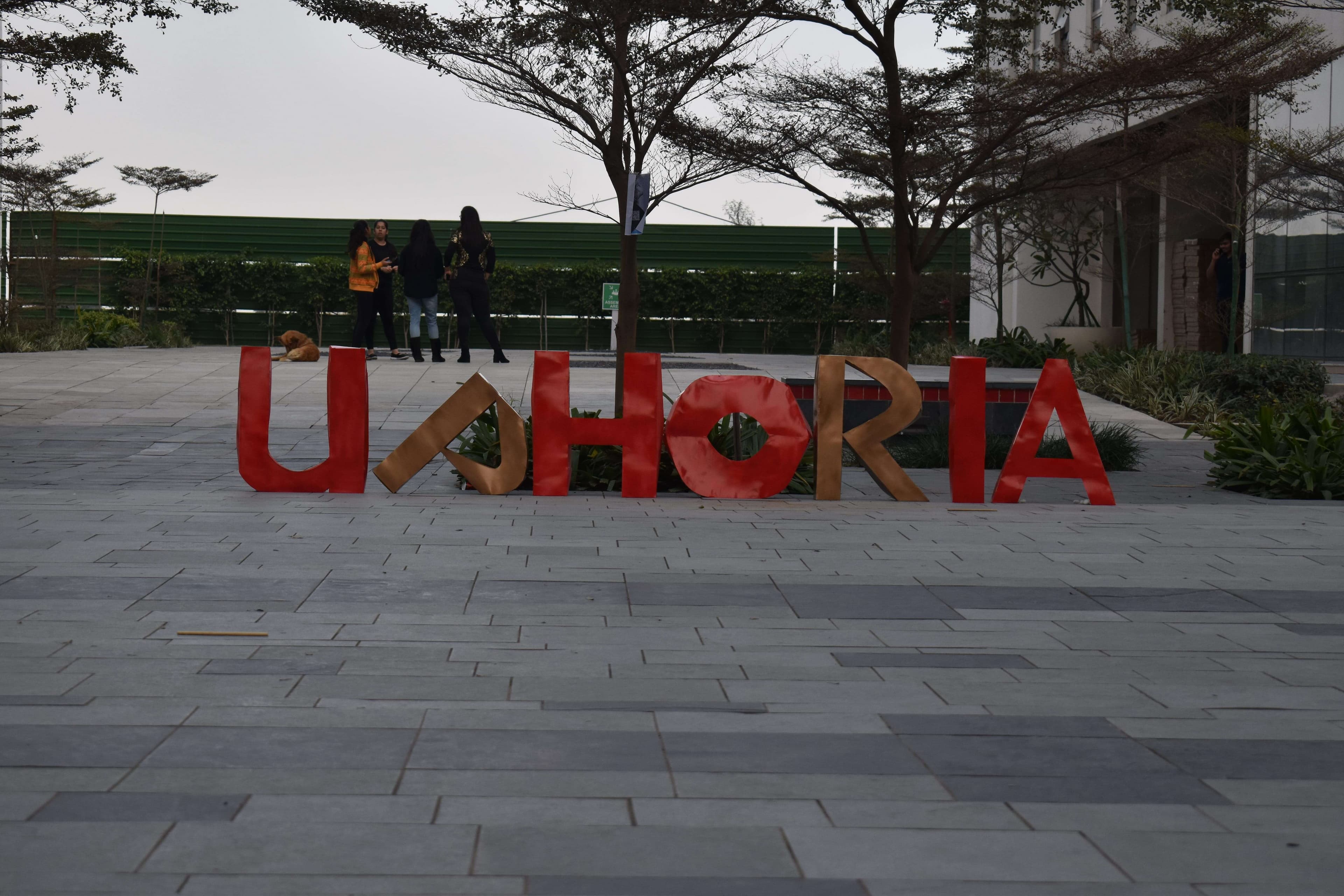 Day 1 of Uphoria 2019