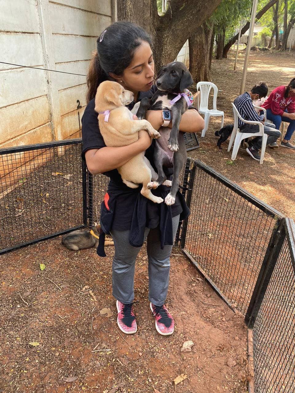Wings of hope for furry friends